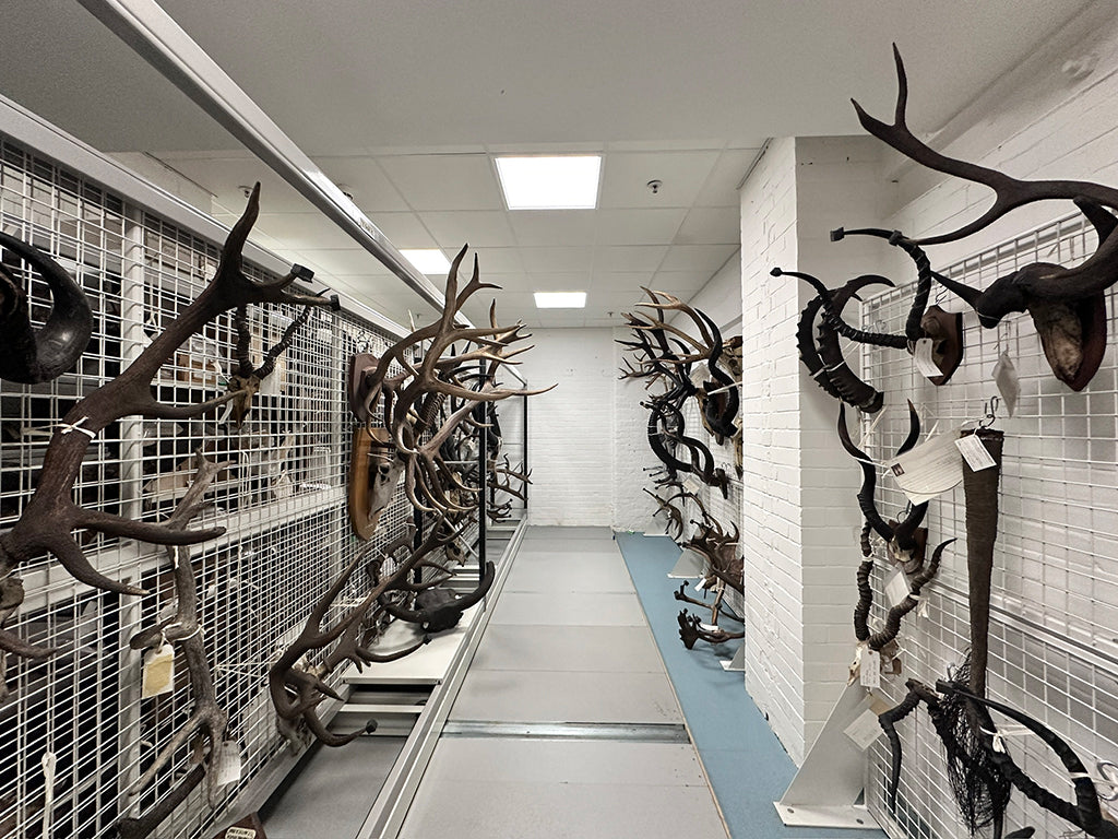 Great North Museum: Hancock Resource Centre. 15.02.24