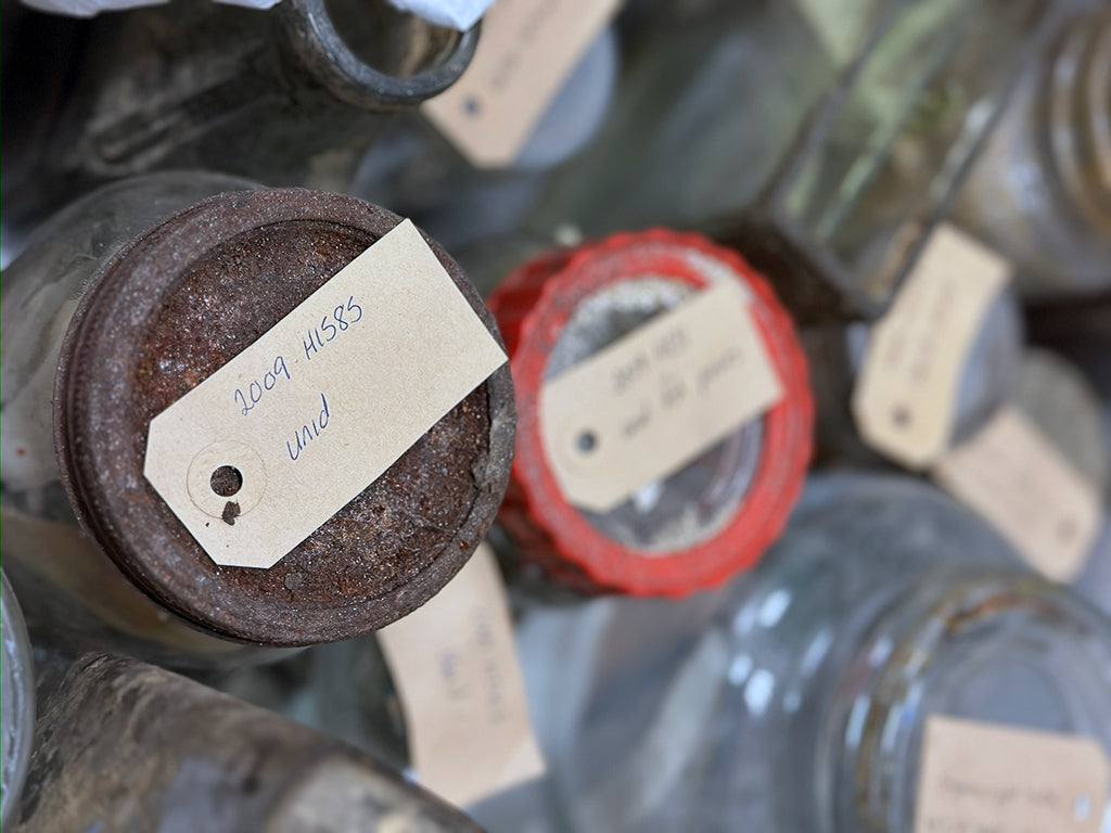 Great North Museum: Hancock Resource Centre. 15.02.24