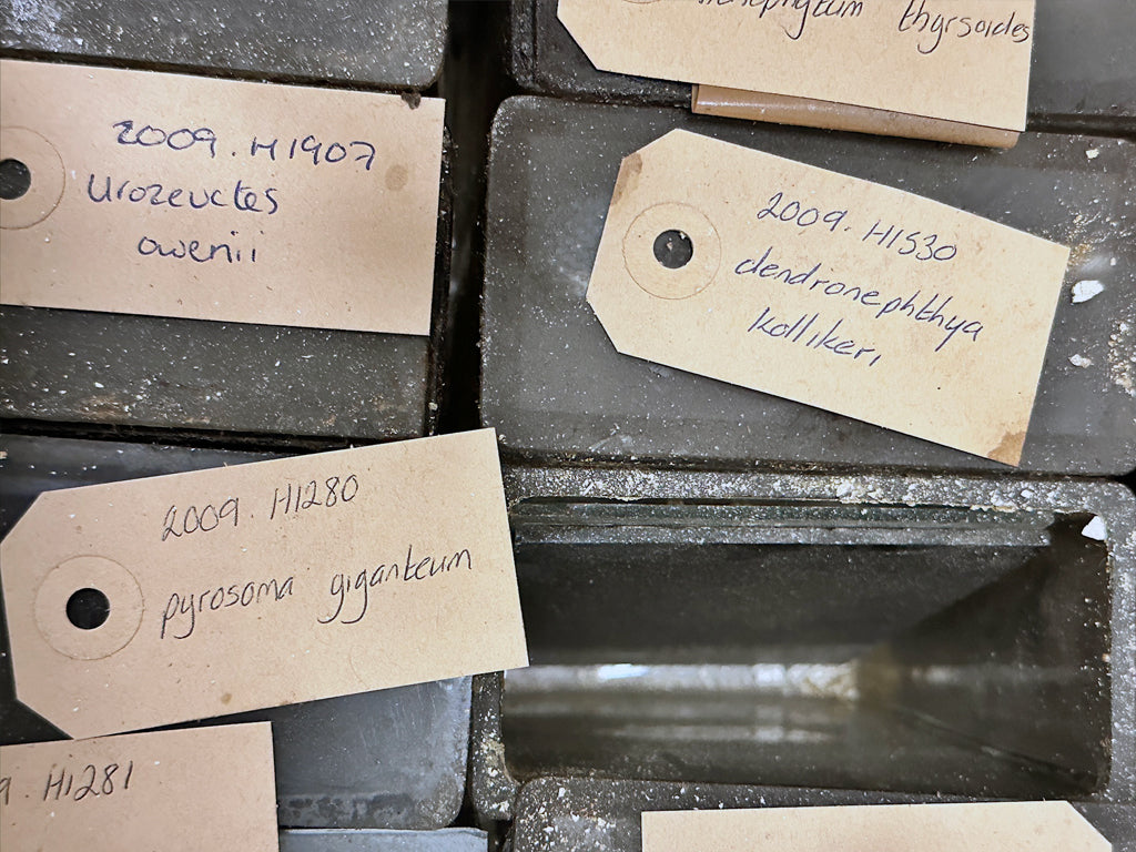 Great North Museum: Hancock Resource Centre. 15.02.24