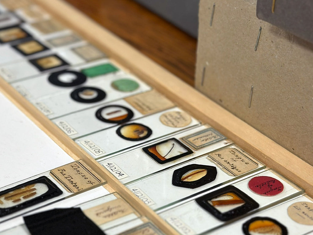 Great North Museum: Hancock Resource Centre. 15.02.24