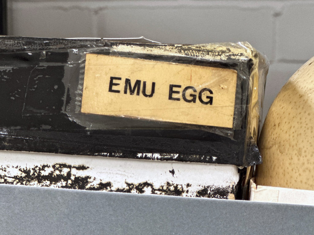 Great North Museum: Hancock Resource Centre. 15.02.24