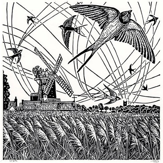 The Swallows Dance