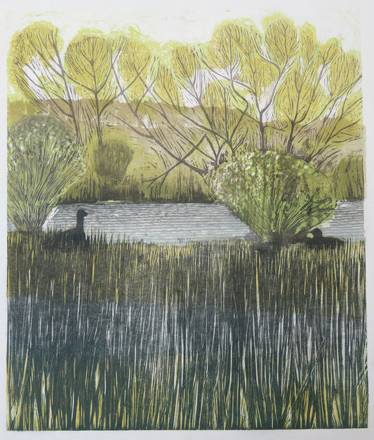 High Noon at the Wetlands