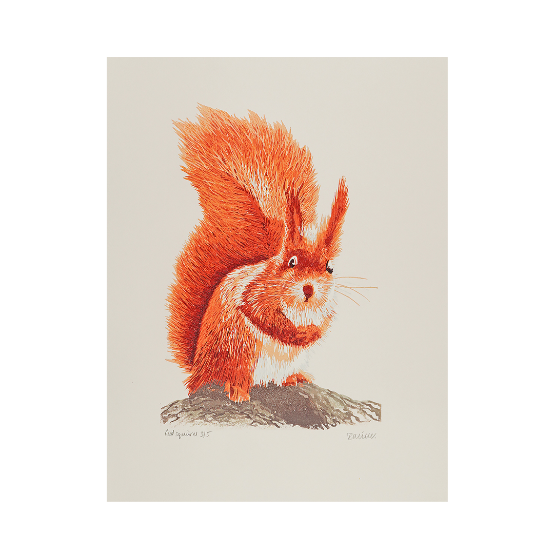 Red Squirrel by Kate Miller