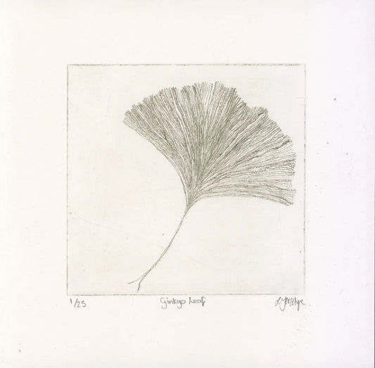 Ginko Leaf