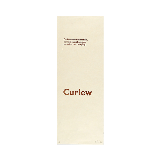 Curlew (haiku) by Mark Lambert