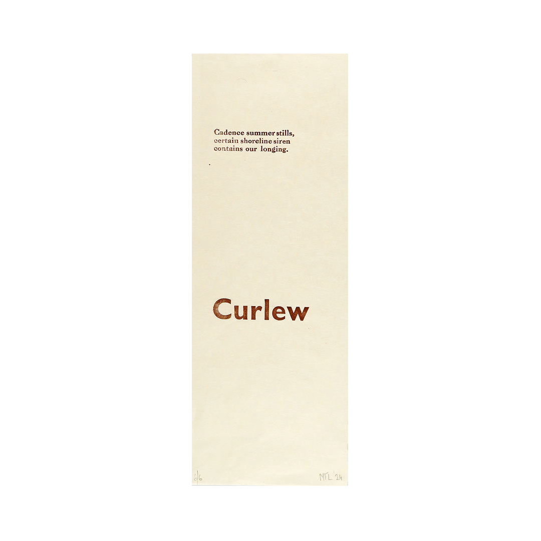 Curlew (haiku) by Mark Lambert