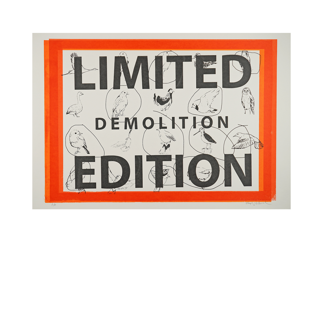 Limited Edition - Demolition by Stephen Hurrel