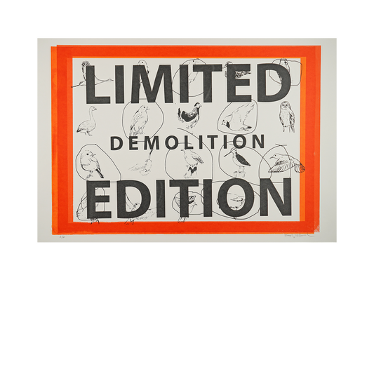 Limited Edition - Demolition by Stephen Hurrel