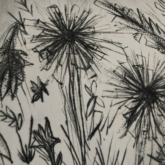 Introduction to drypoint