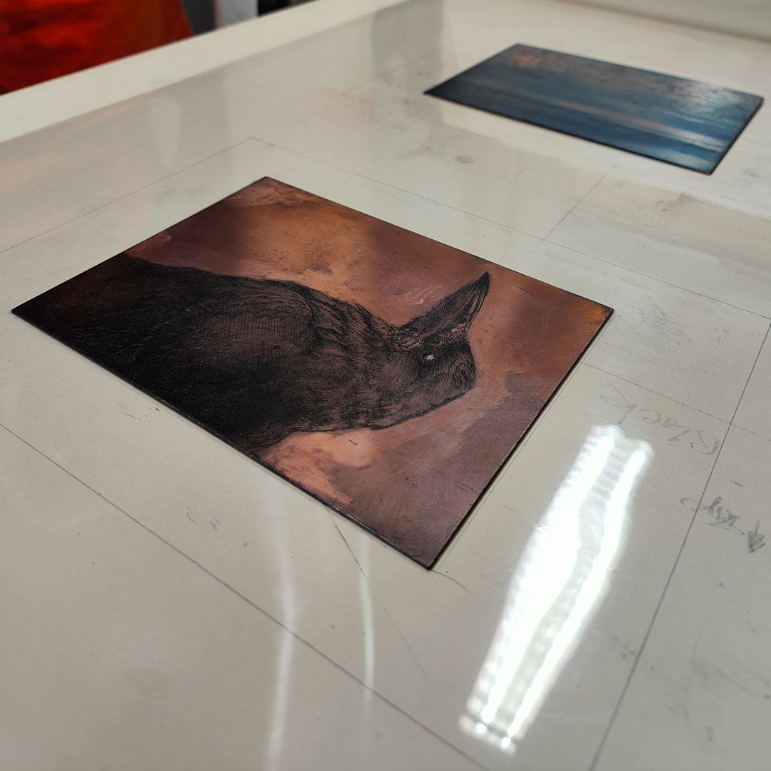 Introduction to hard and soft ground etching