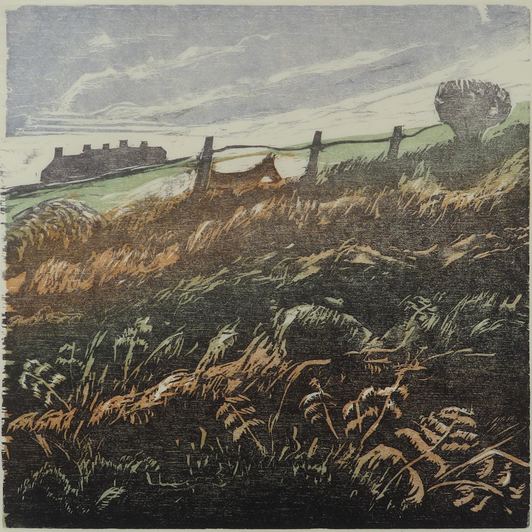 Woodcut: multi-block printing