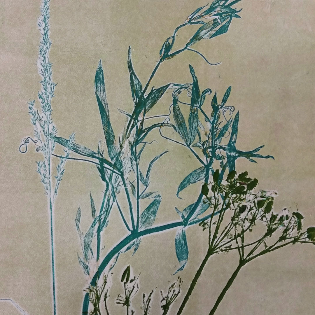 Botanical Nature Printing