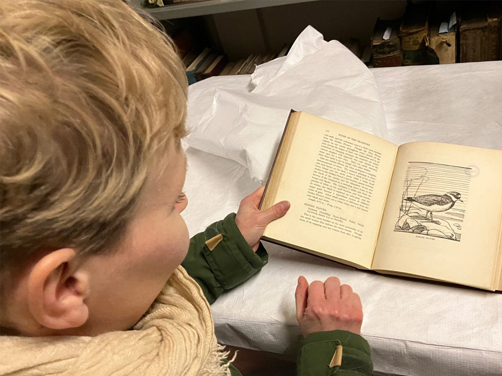 Museums Northumberland/Berwick Museum & Art Gallery. 28.02.24