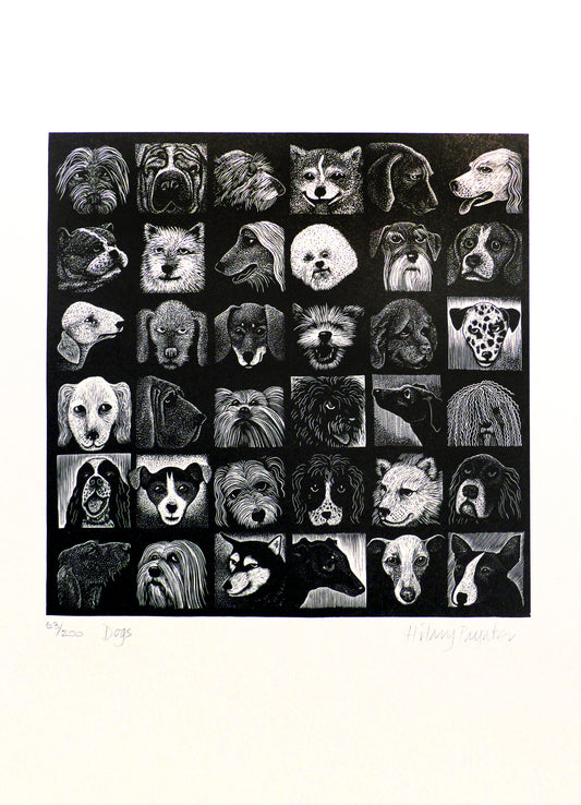 Hilary Paynter Wood Engraving: Dogs