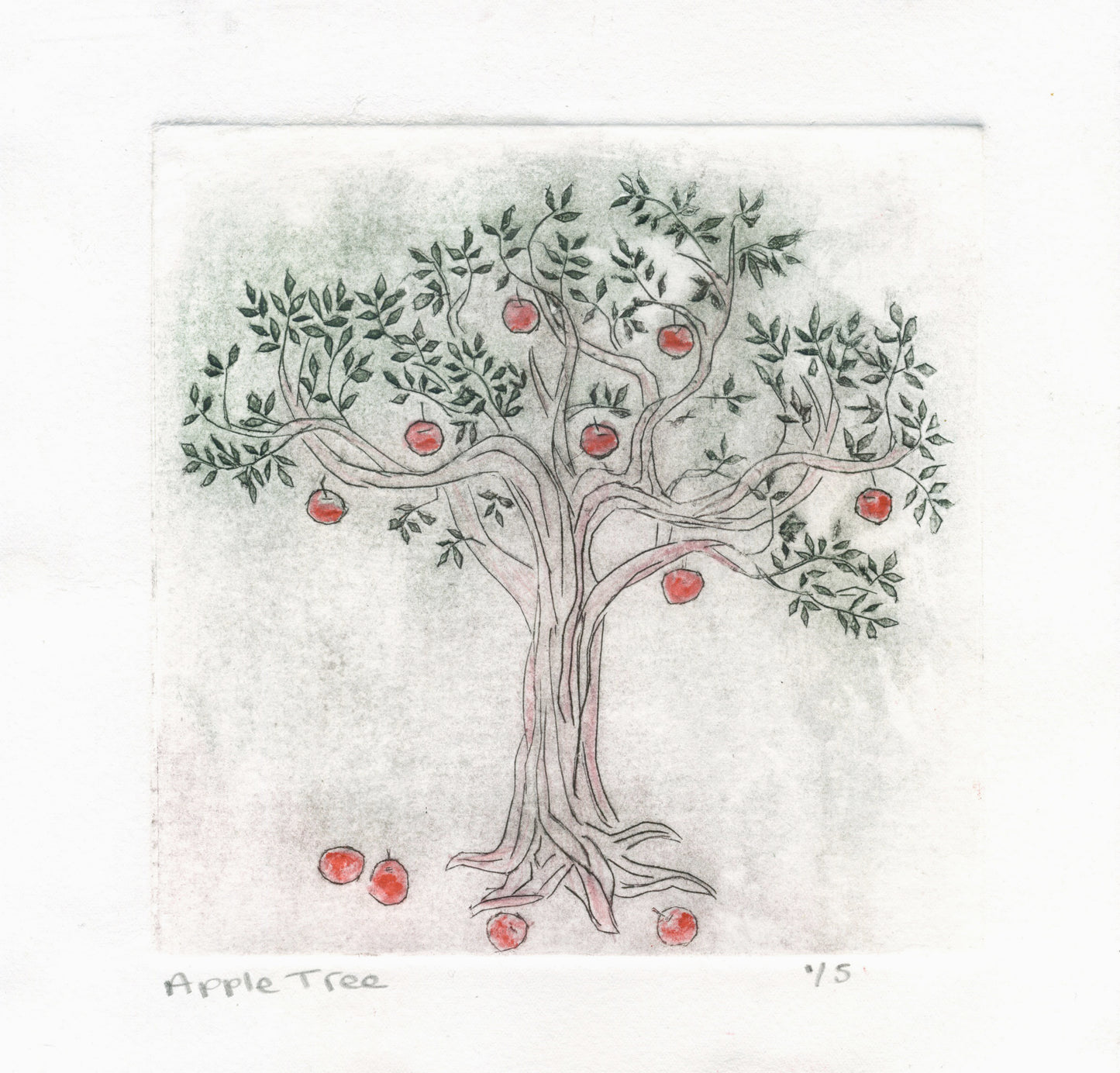 Grannie's Apple Tree
