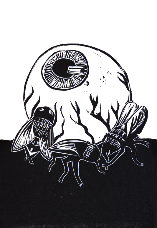 Eyes and Flies