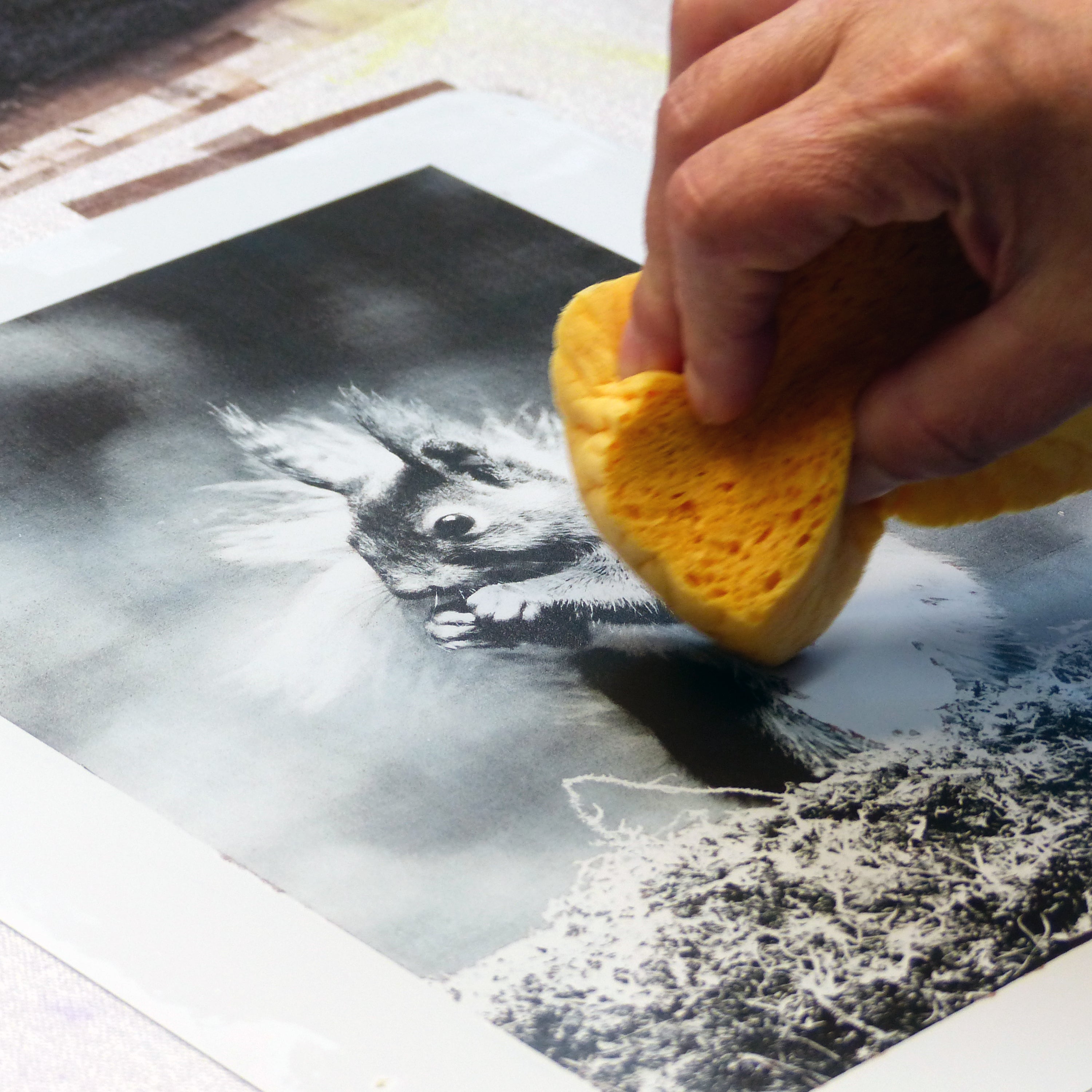 Introduction to Photo Litho