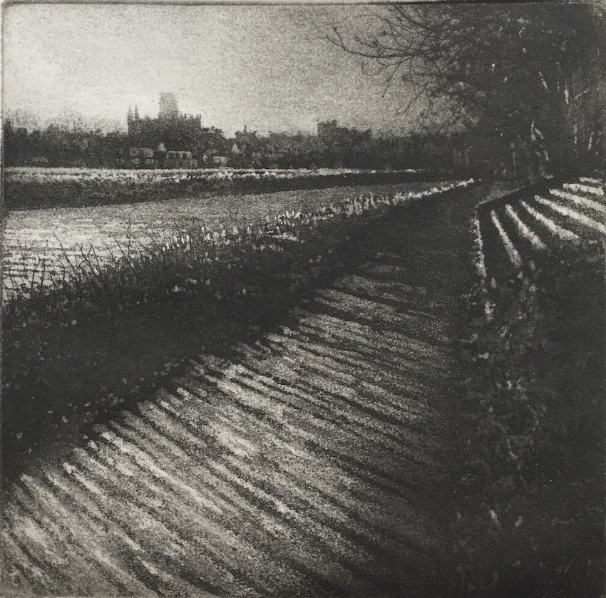 Shadow Lines – Northern Print Studio