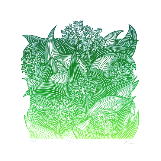 Wild Garlic