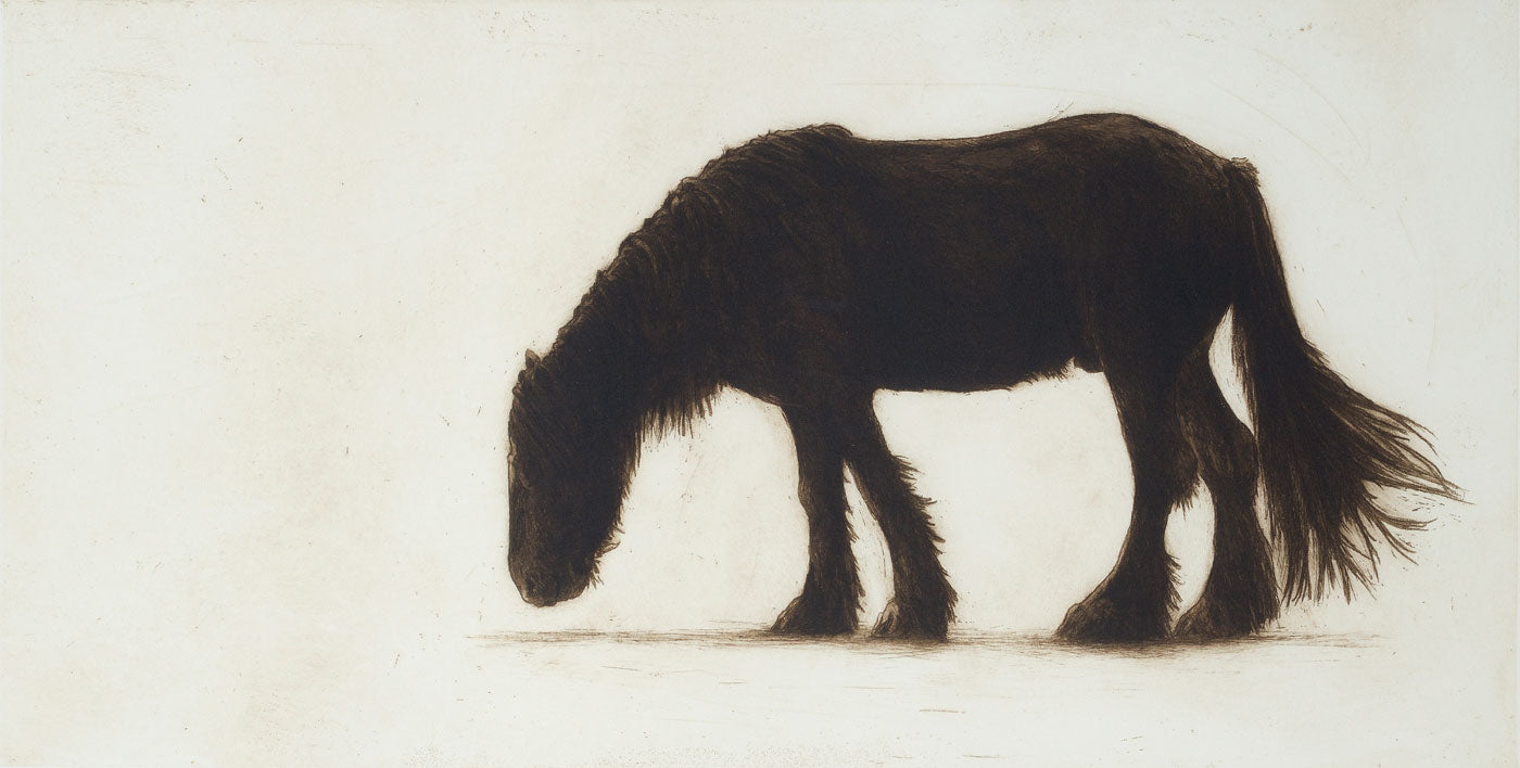 Grazing (Northumberland Horse)